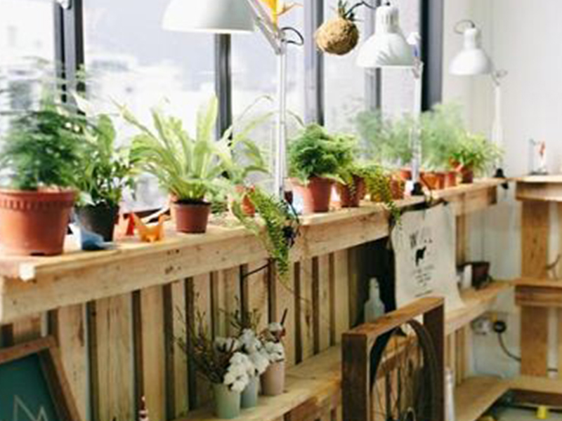 改善室内空气质量的绿色方案_A Green Solution to Improve Indoor Air Quality