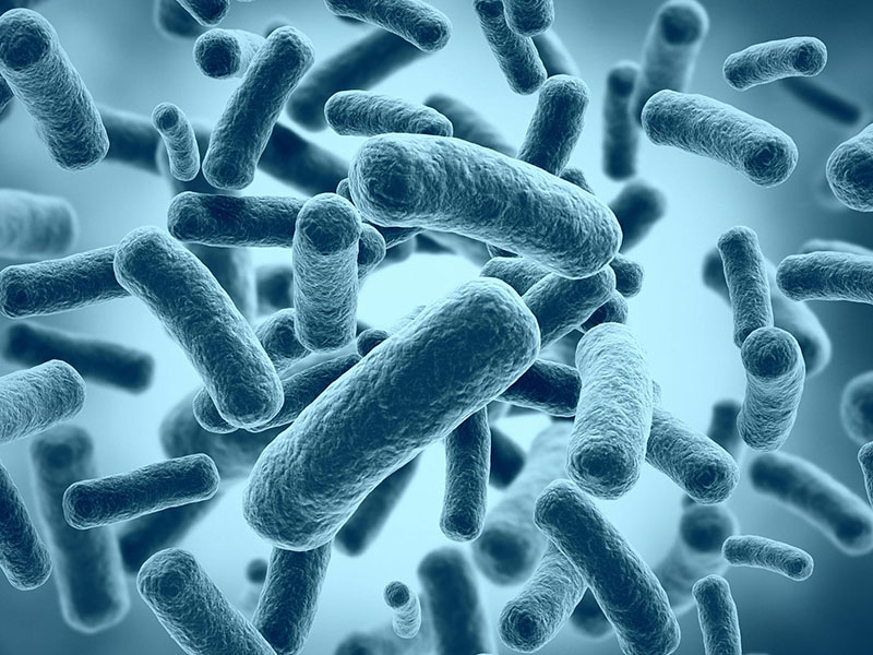 肠道中不同细菌之间或也存在互惠互利关系_Alliance of Bacterial Strains Disables Antibiotics